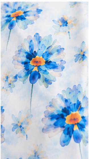 Girls Sky Blue Floral Print Fit & Flare Dress (Sleeveless)